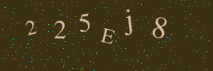 Validation image